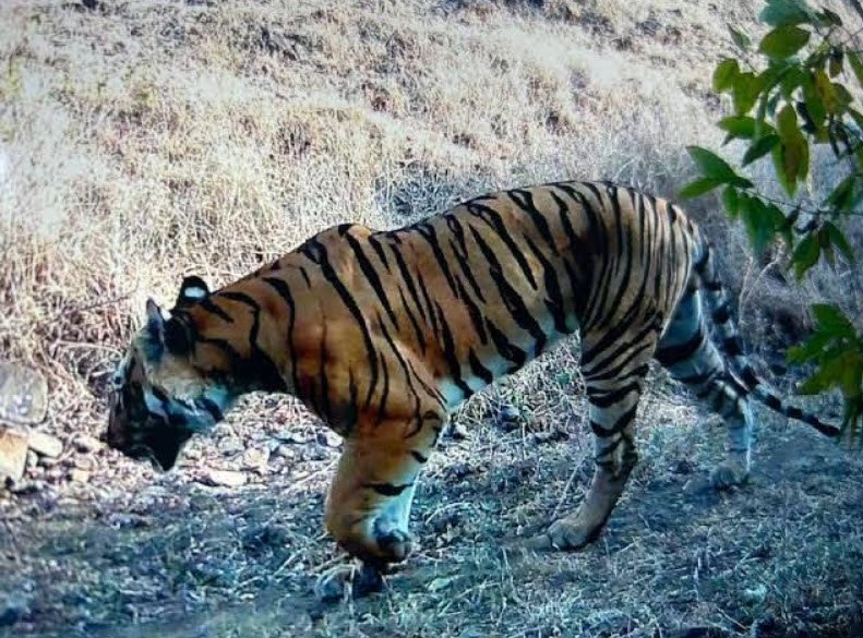 Yedsi Ramling Ghat Wildlife Sanctuary